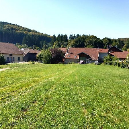 Le Geleinfete I - Gite Vosges A Proximite De Gerardmer Herpelmont Екстер'єр фото